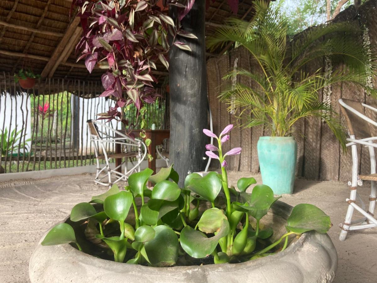 Botanica Eco Lodge Michamvi Buitenkant foto