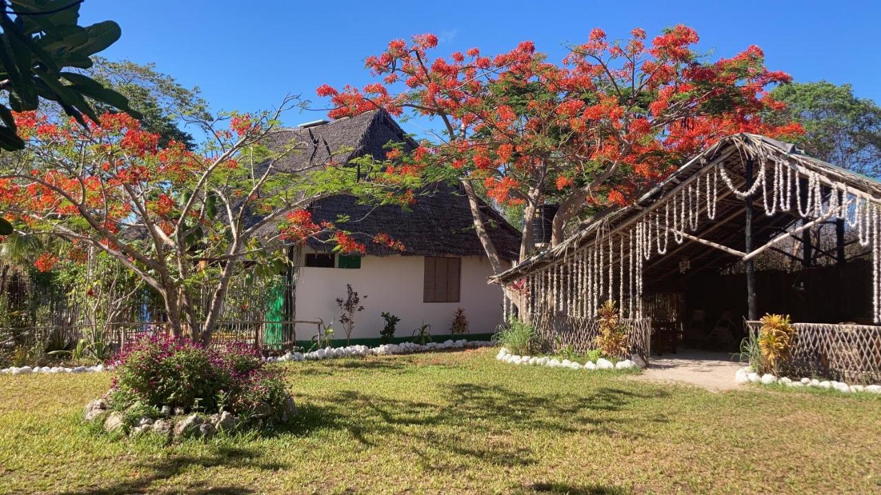 Botanica Eco Lodge Michamvi Buitenkant foto