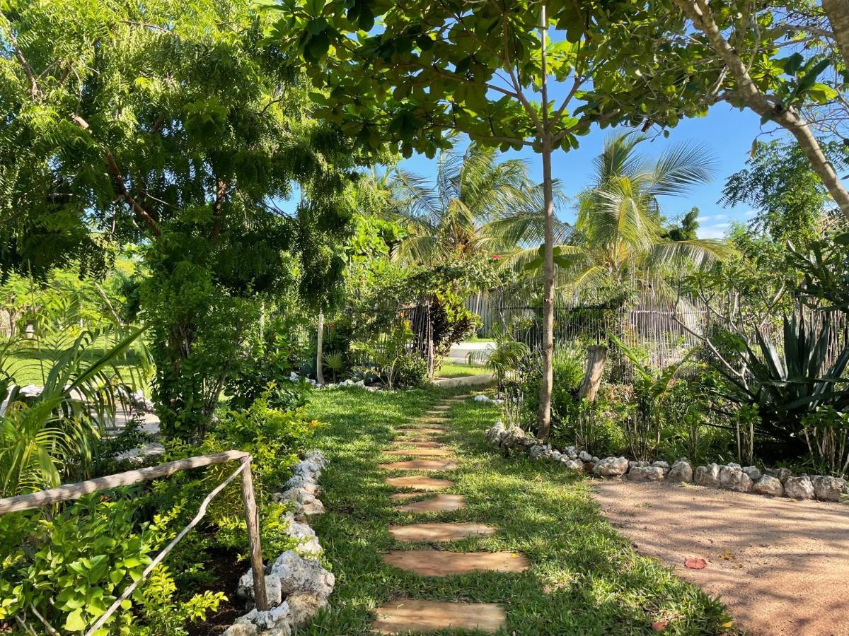 Botanica Eco Lodge Michamvi Buitenkant foto