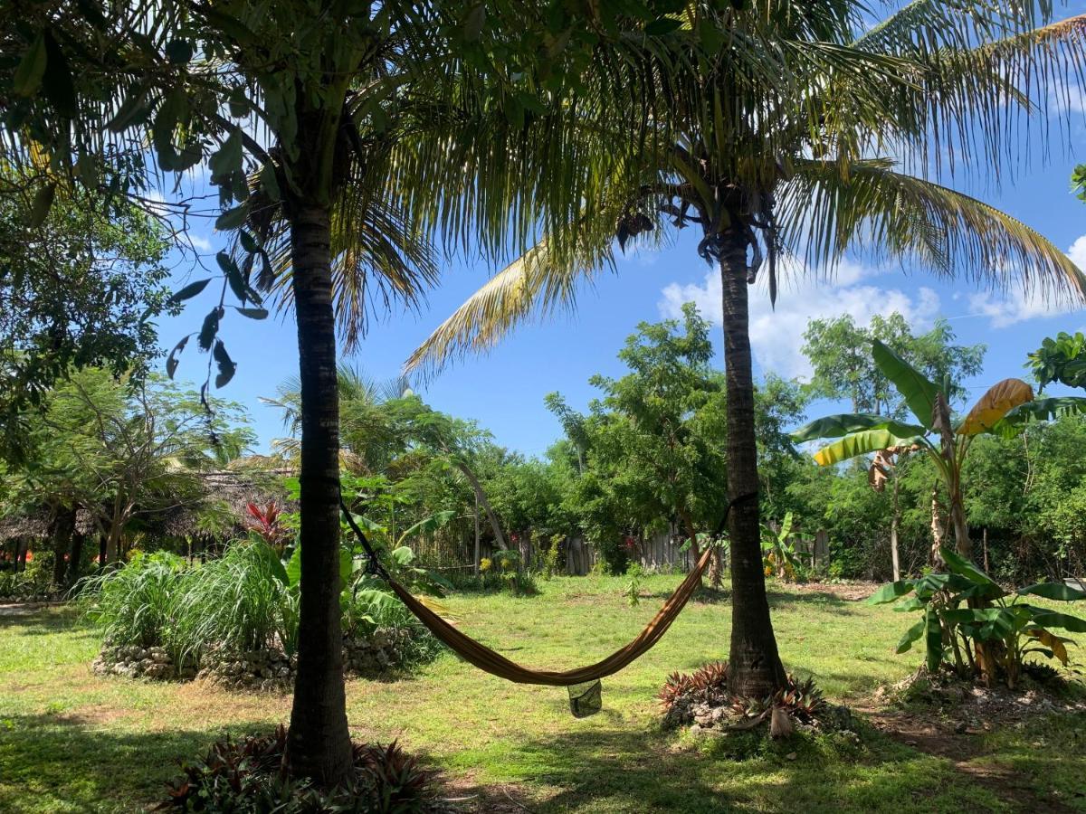 Botanica Eco Lodge Michamvi Buitenkant foto